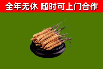 镇远县烟酒回收冬虫夏草.jpg
